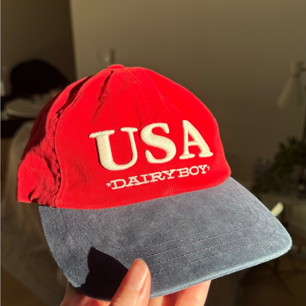BRAND NEW- Dairyboy USA Cap